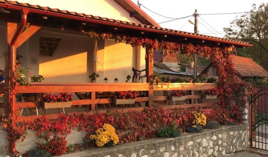 Casa De Vacanta Potoc Bagian luar foto